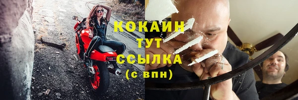 дживик Новодвинск