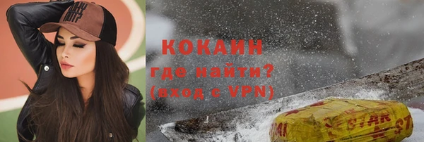 прущие грибы Балабаново