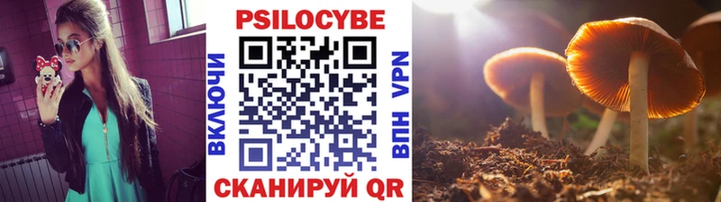 ссылка на мегу ССЫЛКА  хочу наркоту  Томари  Псилоцибиновые грибы GOLDEN TEACHER 