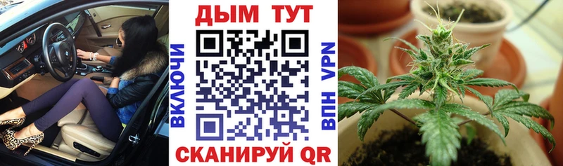 наркошоп  Томари  Каннабис планчик 